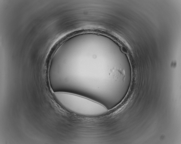 X0000095881021200801110759