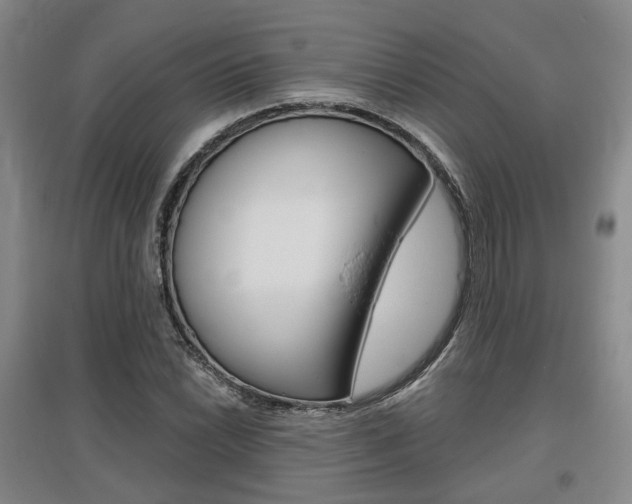 X0000095881022200801110759