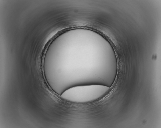X0000095881023200801110759