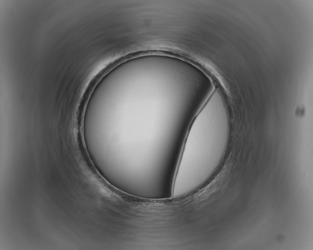 X0000095881024200801110759