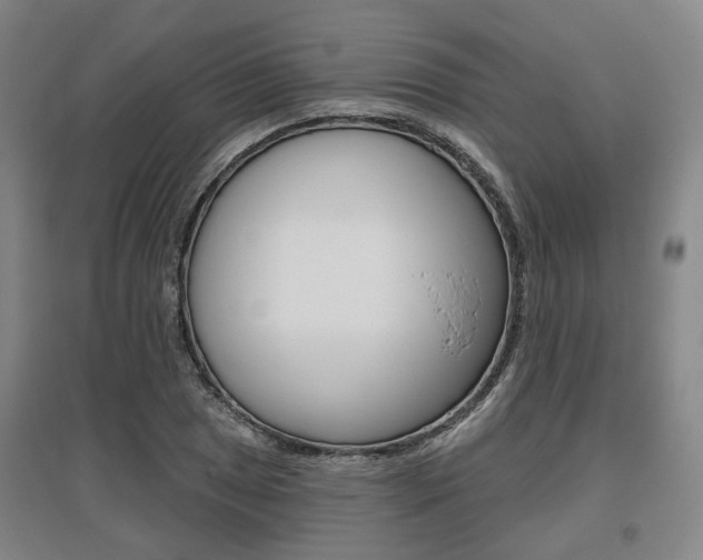 X0000095881025200801110759