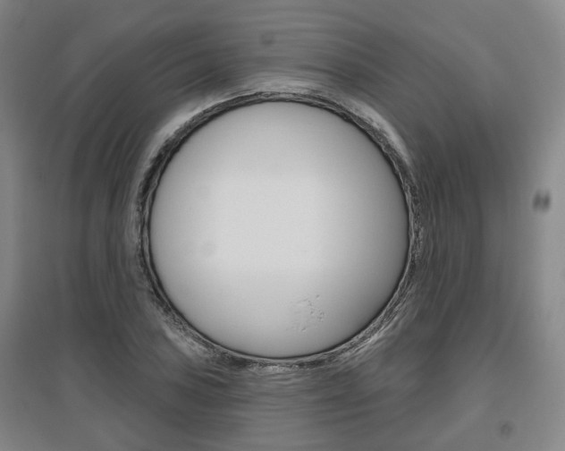 X0000095881027200801110759