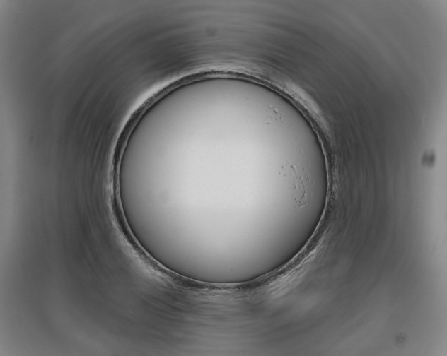 X0000095881028200801110759