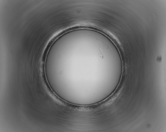 X0000095881029200801110759