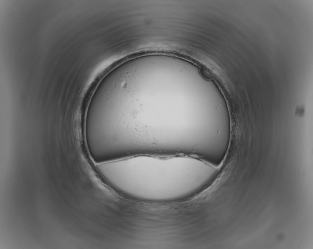 X0000095881030200801110759