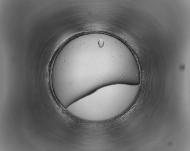 X0000095881031200801110759