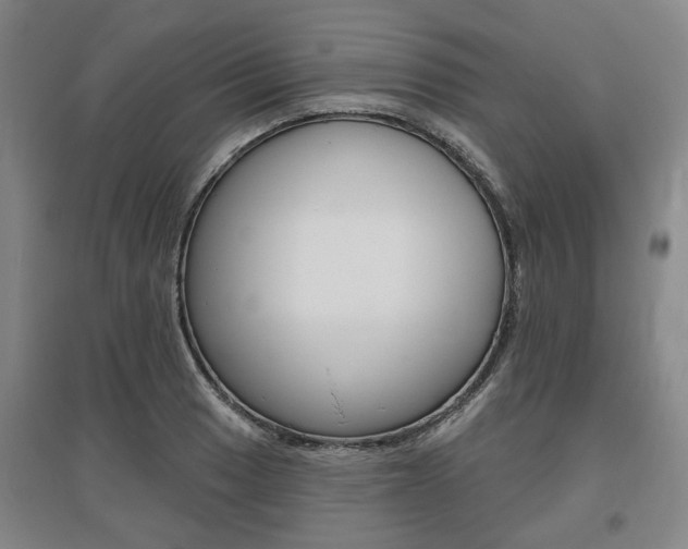 X0000095881033200801110759