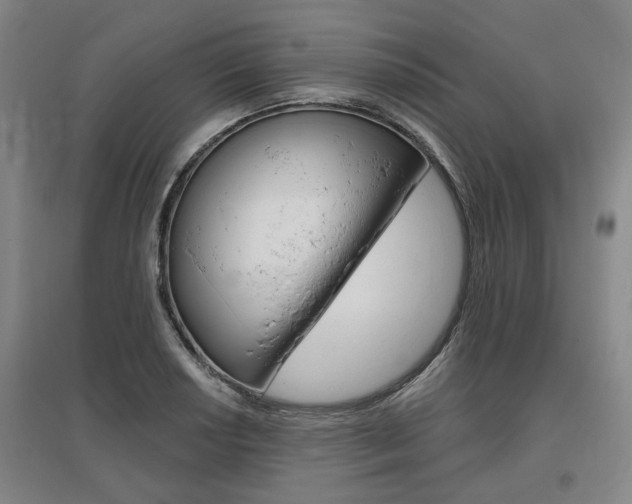 X0000095881034200801110759