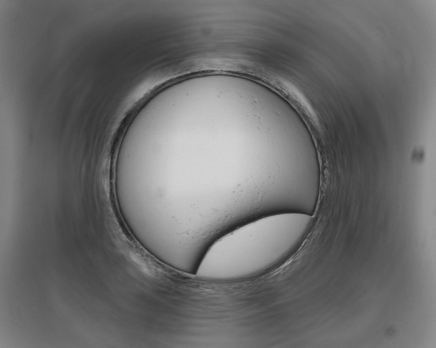 X0000095881035200801110759