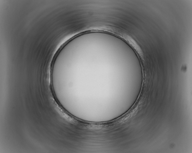 X0000095881036200801110759