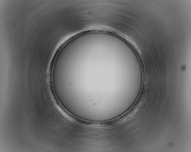 X0000095881037200801110759