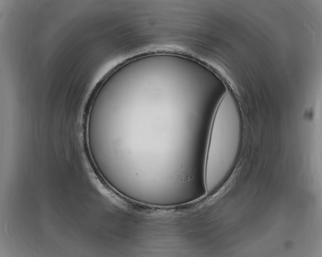 X0000095881038200801110800