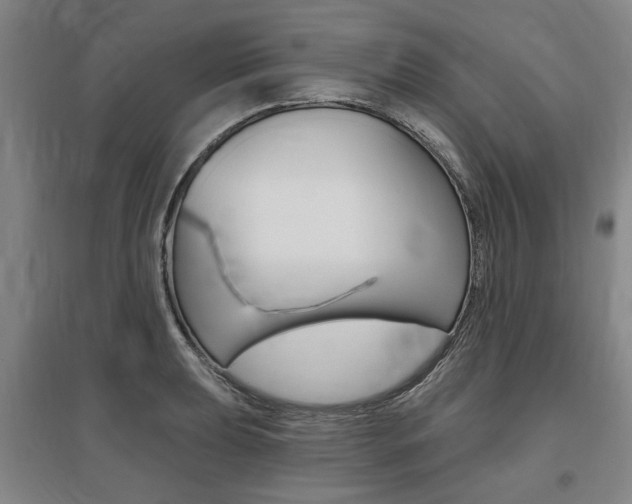 X0000095881039200801110800