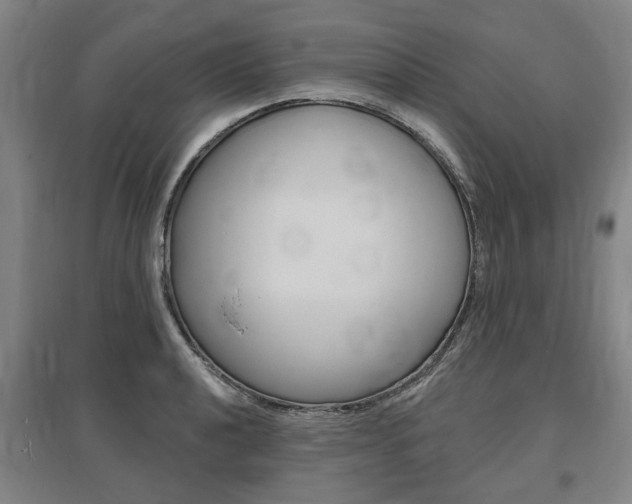 X0000095881040200801110800
