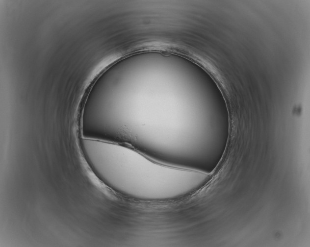 X0000095881042200801110800