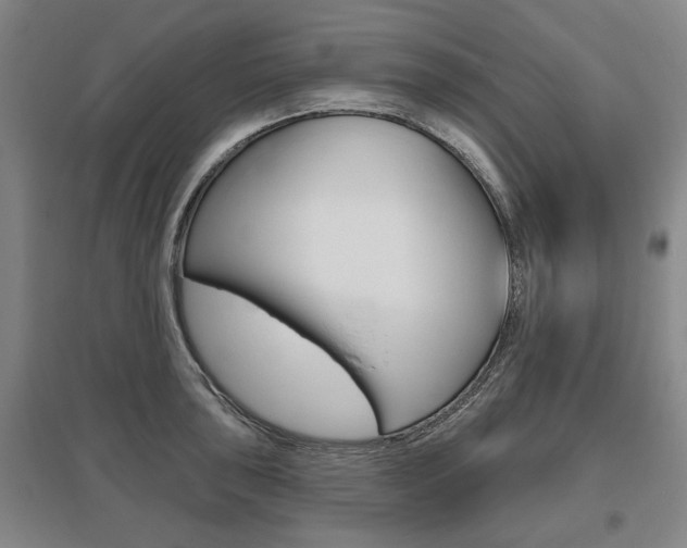 X0000095881043200801110800