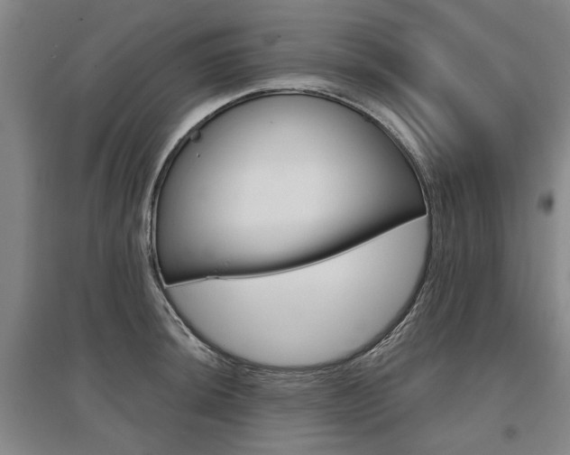 X0000095881044200801110800