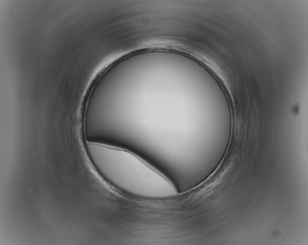 X0000095881045200801110800