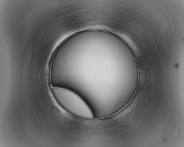 X0000095881046200801110800