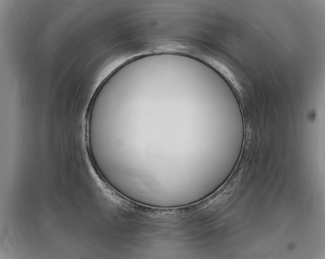 X0000095881047200801110800