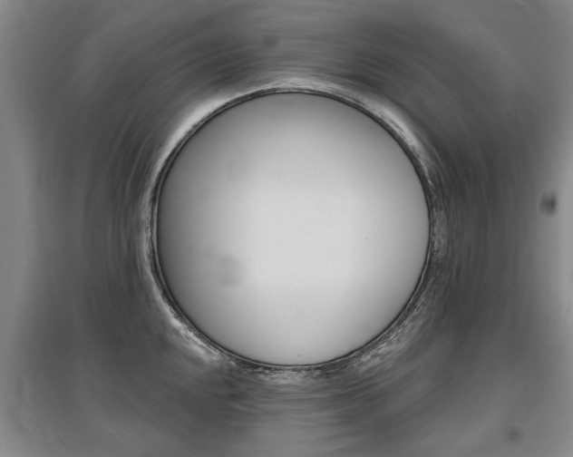 X0000095881048200801110800