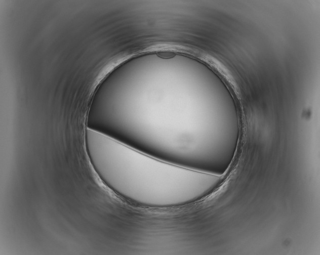 X0000095881049200801110800