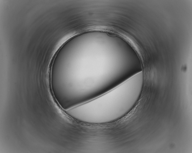 X0000095881050200801110800