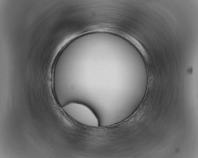 X0000095881051200801110800