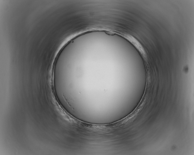 X0000095881052200801110800