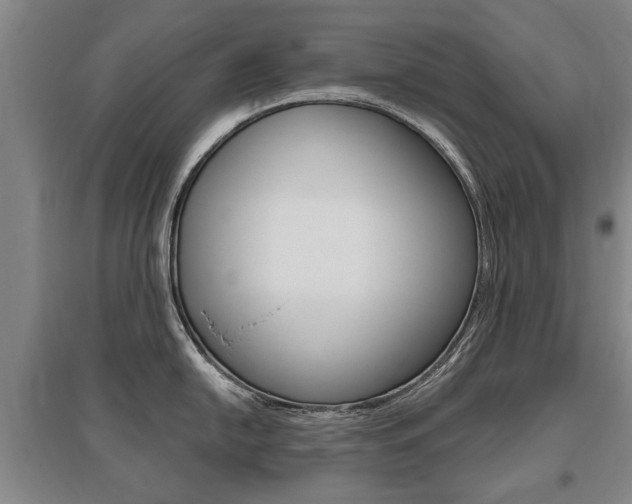 X0000095881054200801110800