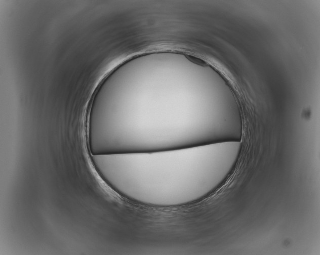 X0000095881055200801110800