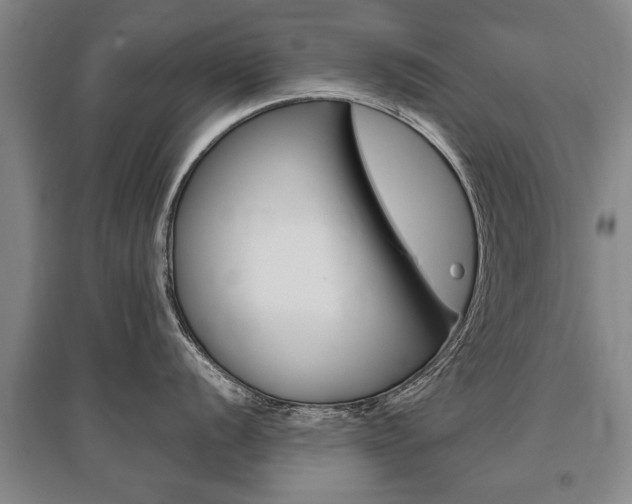 X0000095881056200801110800