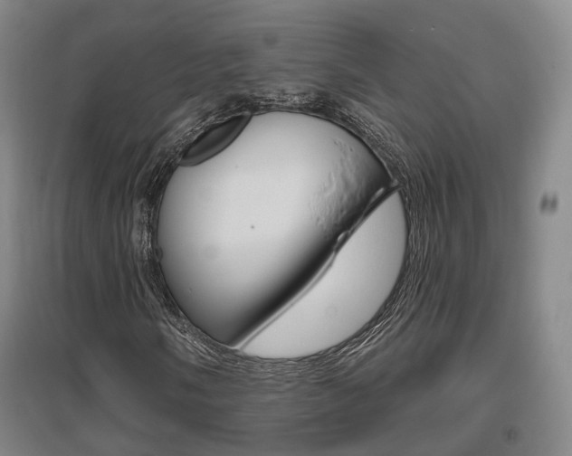 X0000095881058200801110759