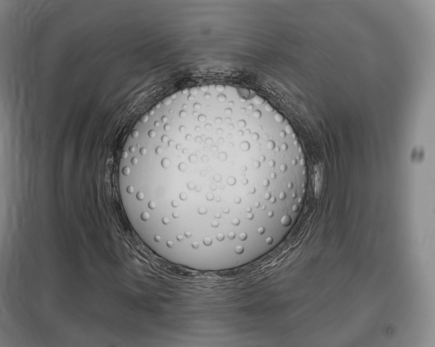 X0000095881059200801110759