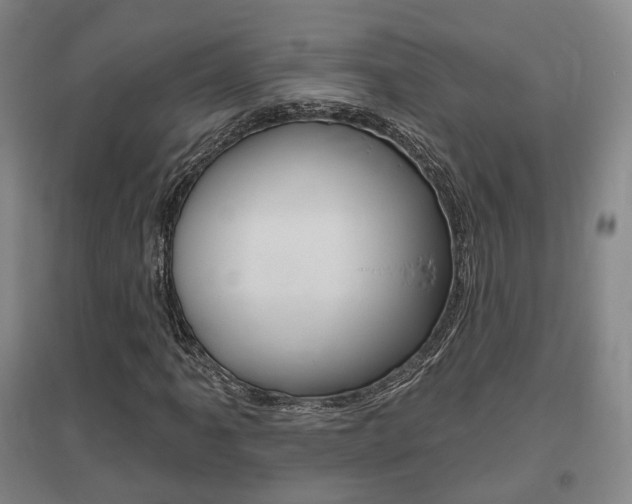 X0000095881061200801110759