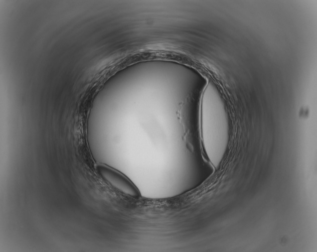 X0000095881062200801110759
