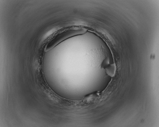 X0000095881064200801110759