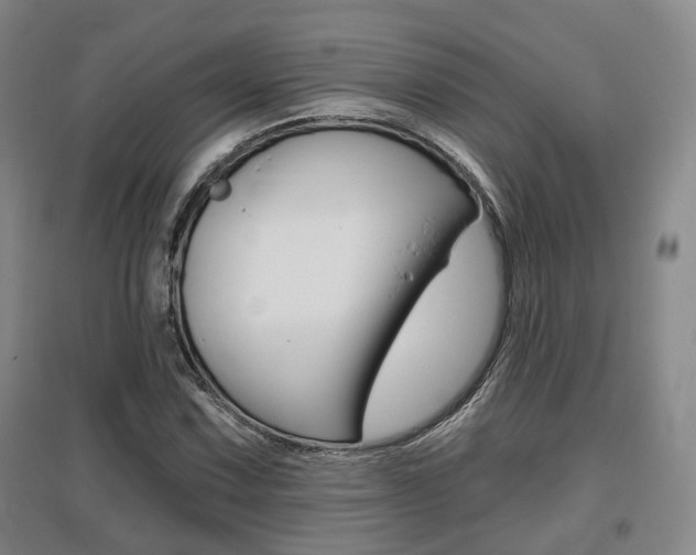 X0000095881067200801110759