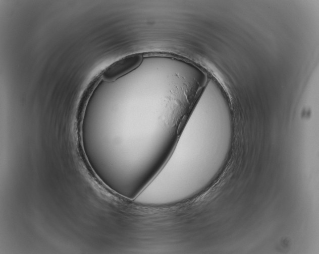 X0000095881072200801110759