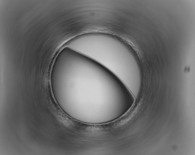 X0000095881073200801110759