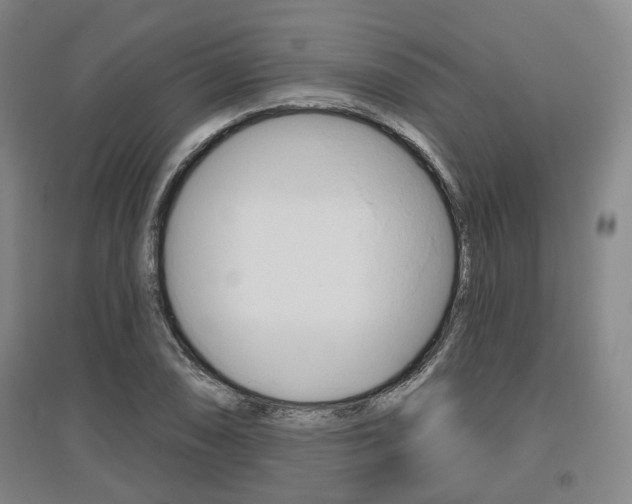 X0000095881074200801110759