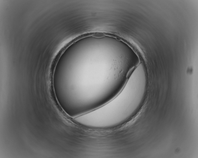 X0000095881077200801110759