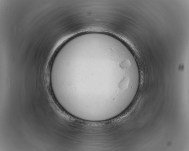X0000095881078200801110759