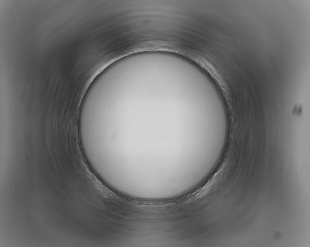 X0000095881081200801110759