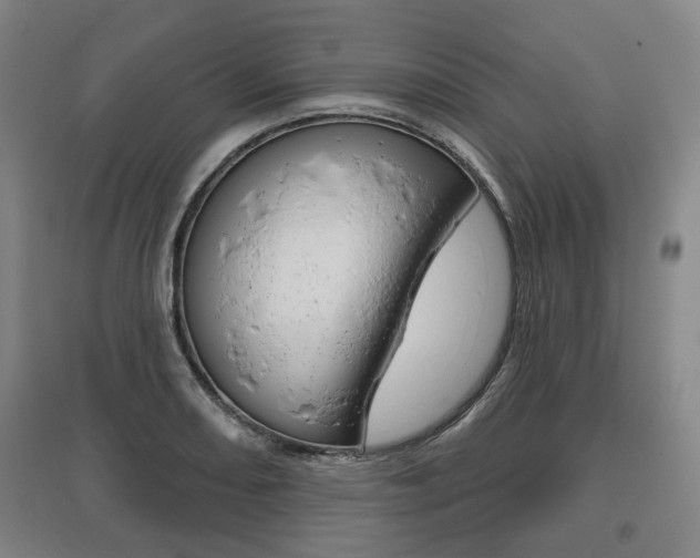 X0000095881082200801110759