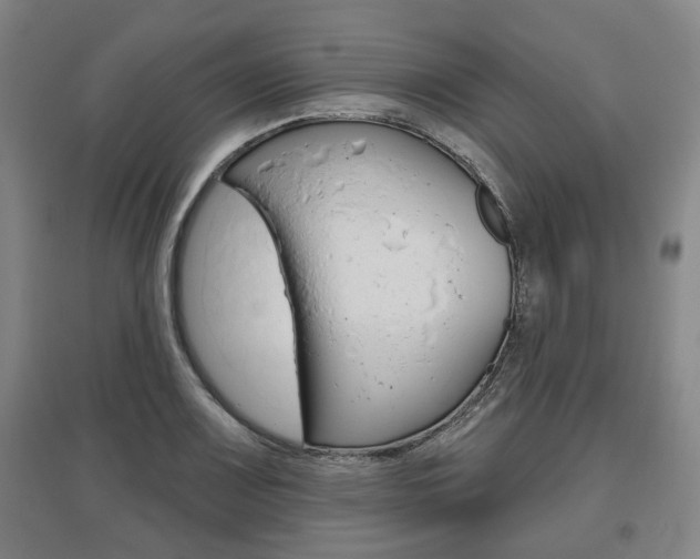 X0000095881083200801110759