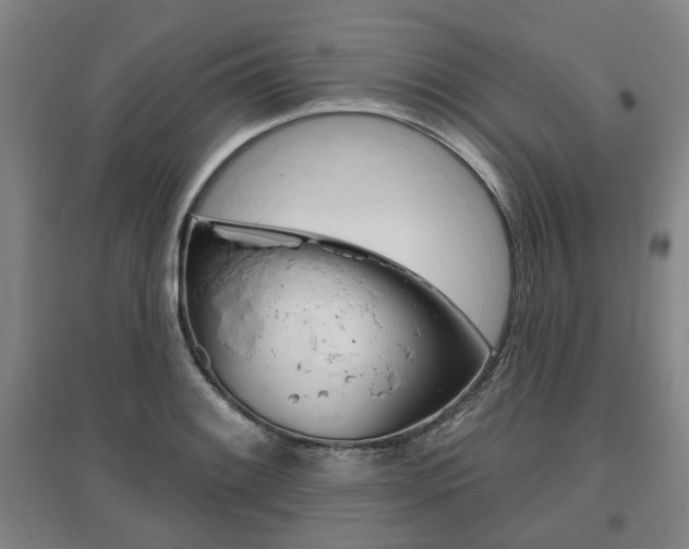 X0000095881084200801110759