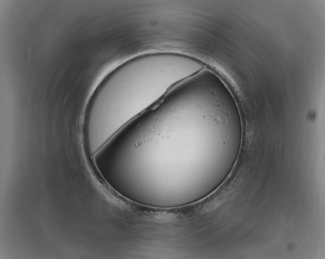 X0000095881085200801110759
