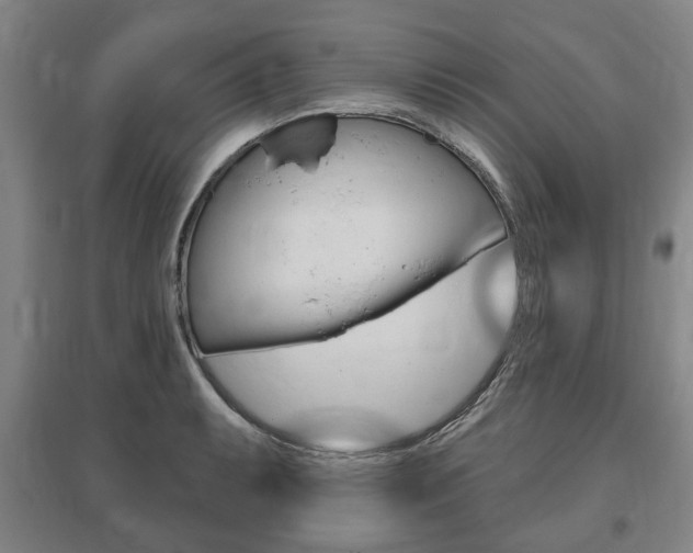 X0000095881087200801110759