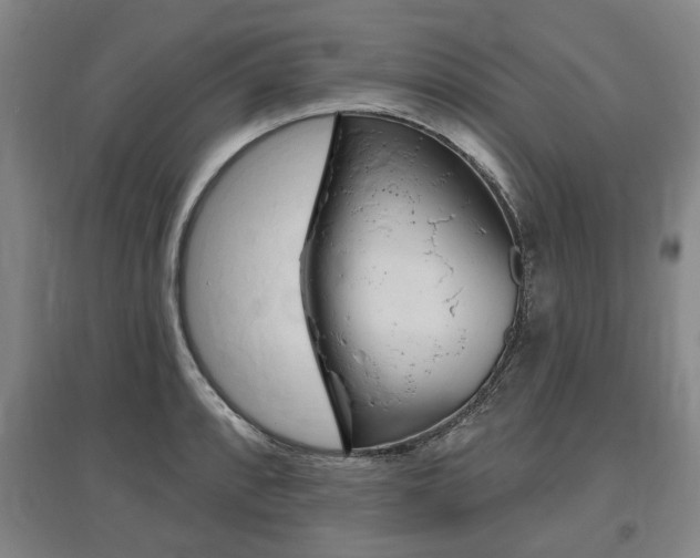 X0000095881088200801110758